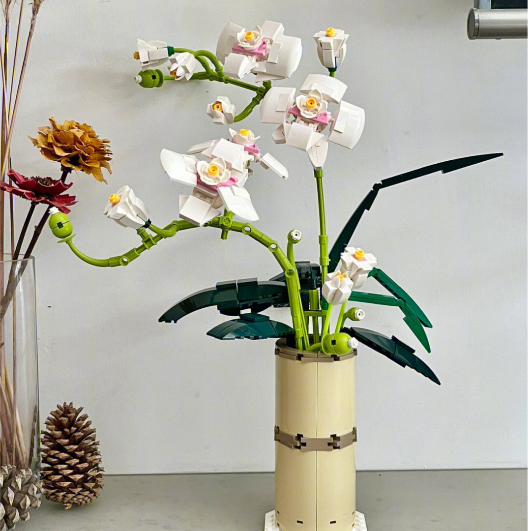 台灣品種的蝴蝶蘭積木BUTTERFLY ORCHID