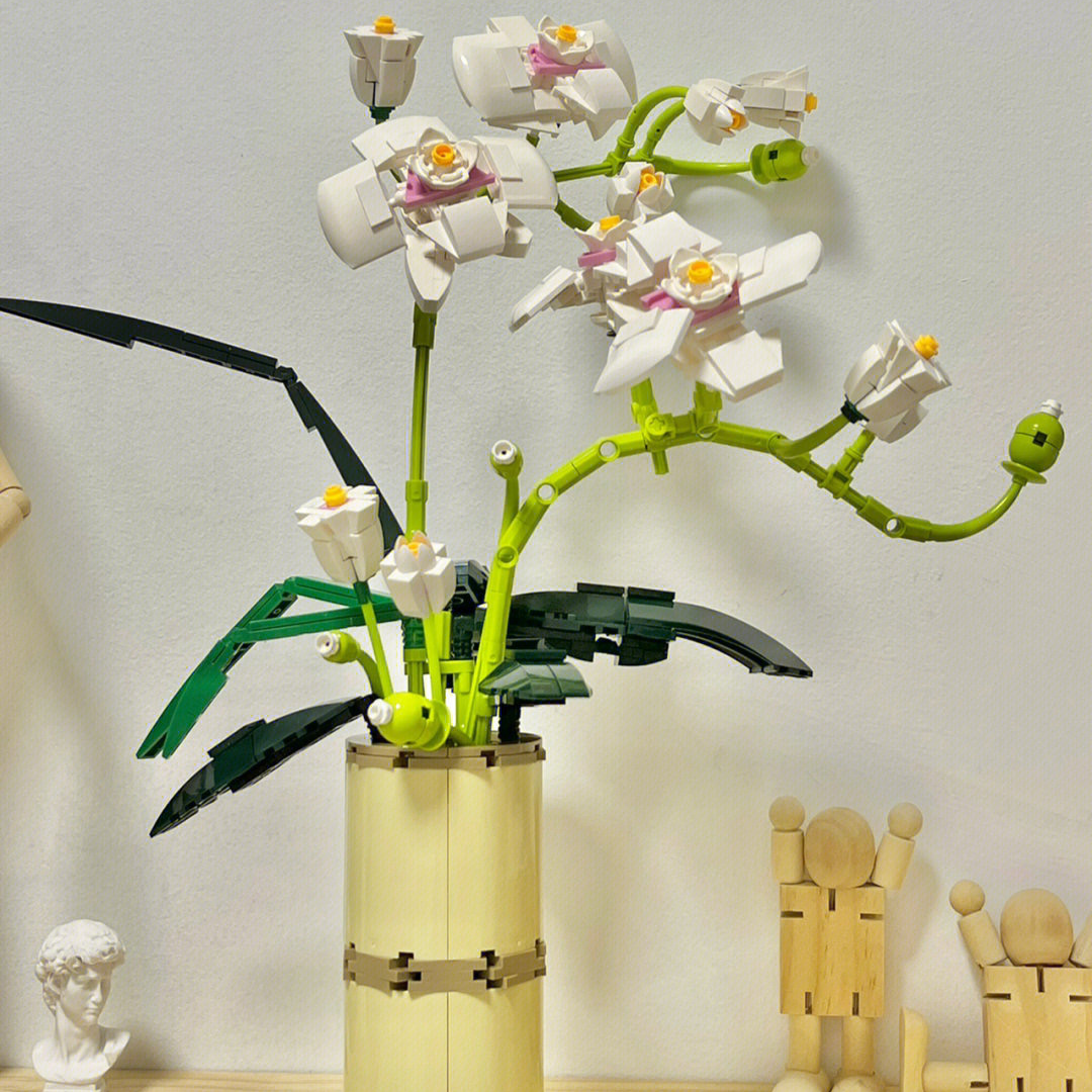 台灣品種的蝴蝶蘭積木BUTTERFLY ORCHID